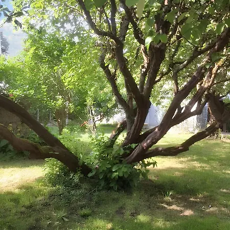 Maison Charmante Proche De Avec Jardin Cloture. Feriehus Montlognon
