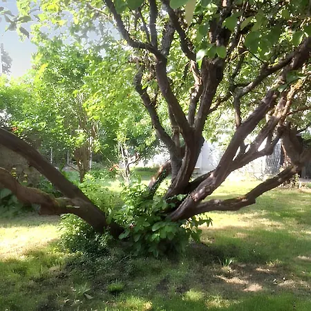 Maison Charmante Proche De Avec Jardin Cloture. *